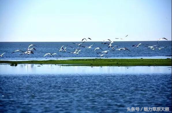 一座去了不想走的城市成都,一座去了还想去的城