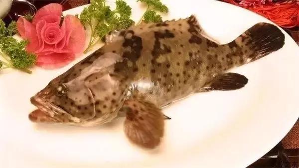 各个地方的美食pk,珠海海鲜美食