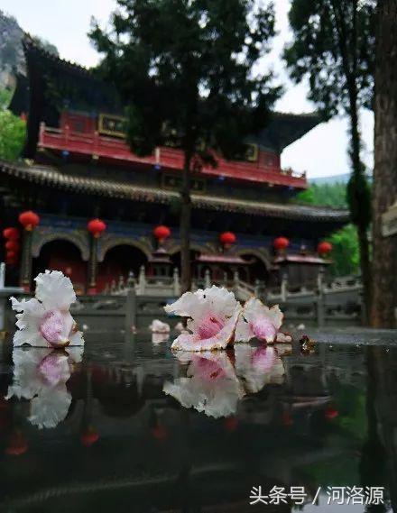 巩义青龙山慈云寺游玩攻略,慈云寺美景