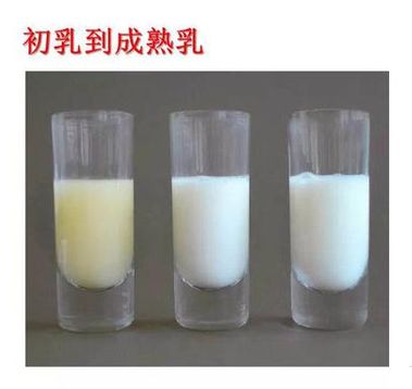 断奶好方法让宝宝轻松断奶六个月,4个月断奶好方法让宝宝轻松断奶