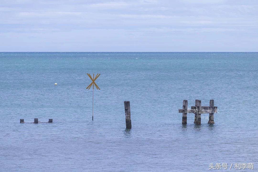 「透视旅行」依依不舍告别“鸭岛”