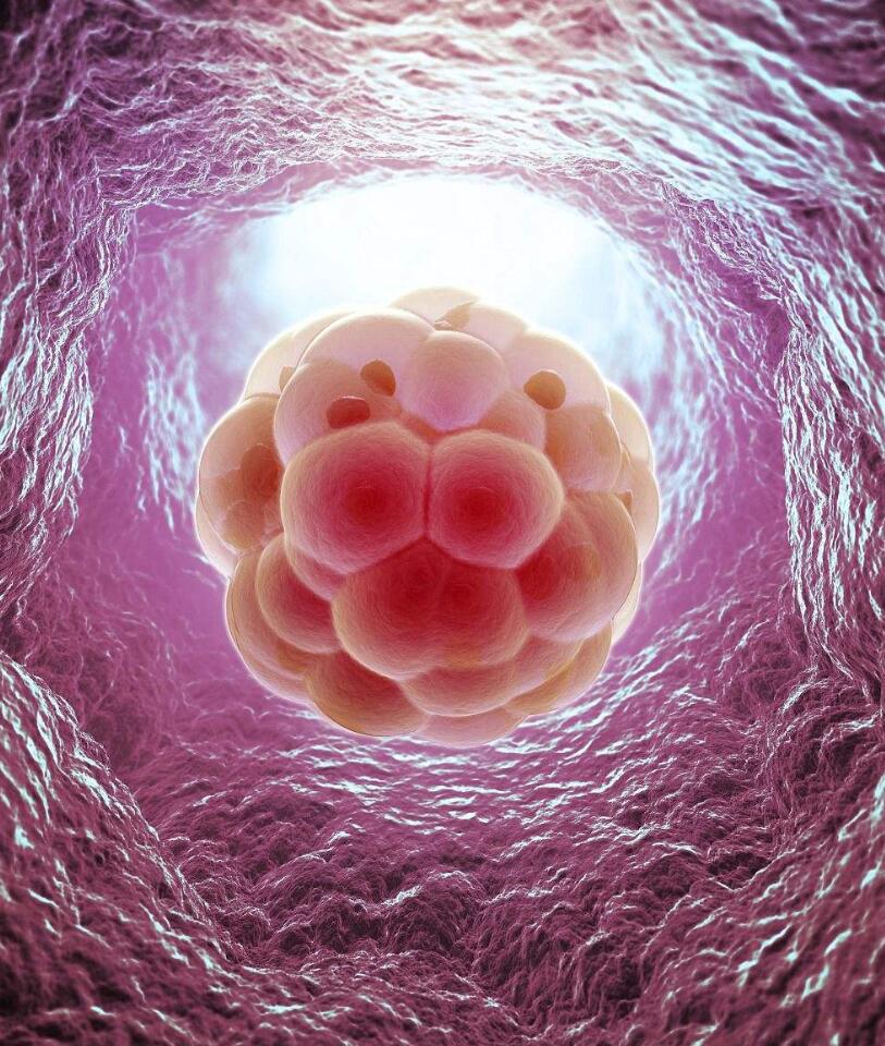 易孕体质一般都具有这五个特征,以前很难怀孕为什么会变易孕体质