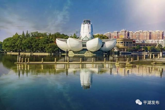 全国首创！平湖助力低收入家庭入股“飞地抱团”项目