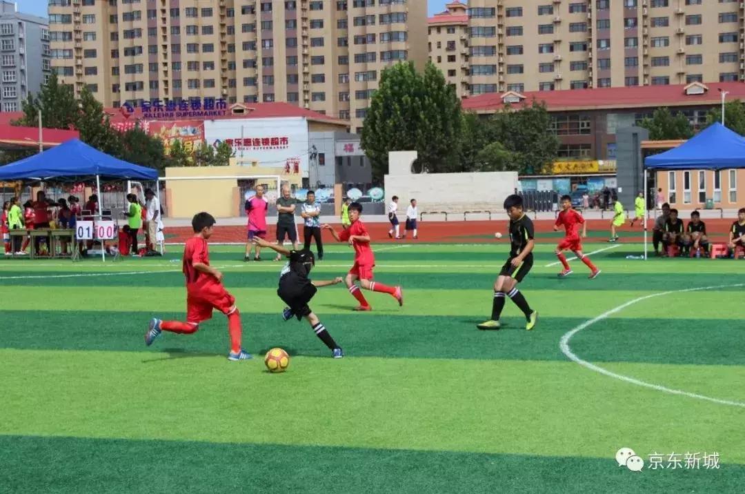 县长杯比赛,大厂县第五届县长杯足球比赛