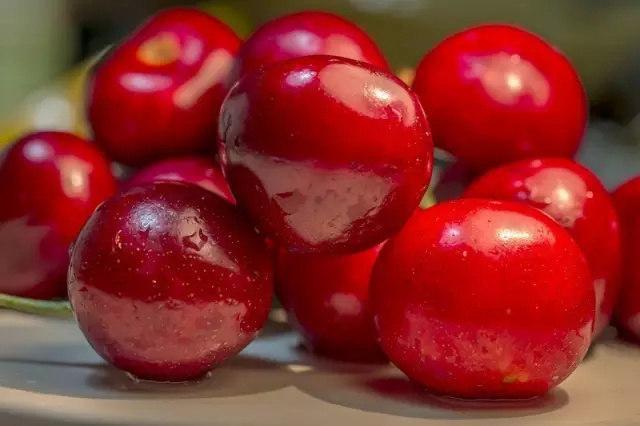 全国各地特产大全视频,长白山特产林下灵芝片东北特产50g