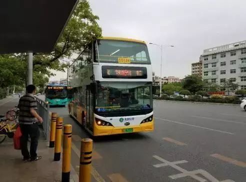 深圳失去了就会爱上的城市,深圳现状是什么