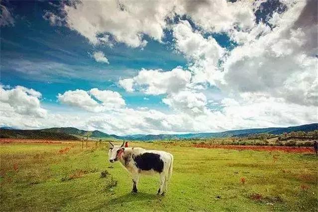 云南最难听懂的方言排名出炉，你的家乡话上榜了吗？