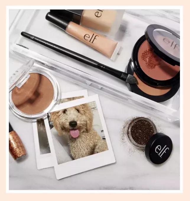 比较实用的十种化妆品,哪些好用又实用的化妆品又省钱