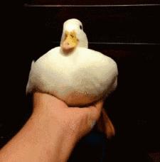 比较实用的十种化妆品,哪些好用又实用的化妆品又省钱