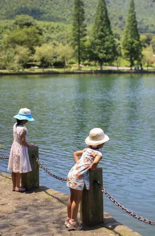 宜兴竹海吹起了一股简洁风,吹来了一波纯色壁纸~