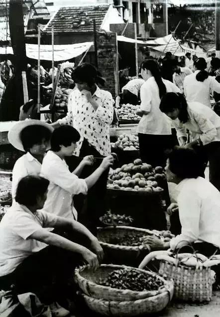 「河南40年」1985：刘源成为郑州市副市长万隆掌舵漯河肉联厂厂长