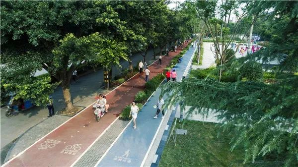 去天府绿道怎么走,去天府绿道需要做什么准备