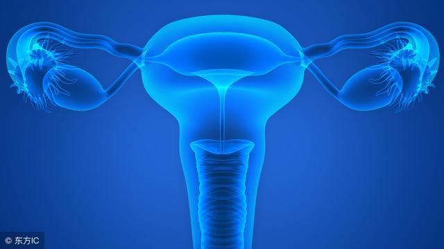 宫颈癌注意忌口的食物有哪些,宫颈癌在饮食上需要忌口吗