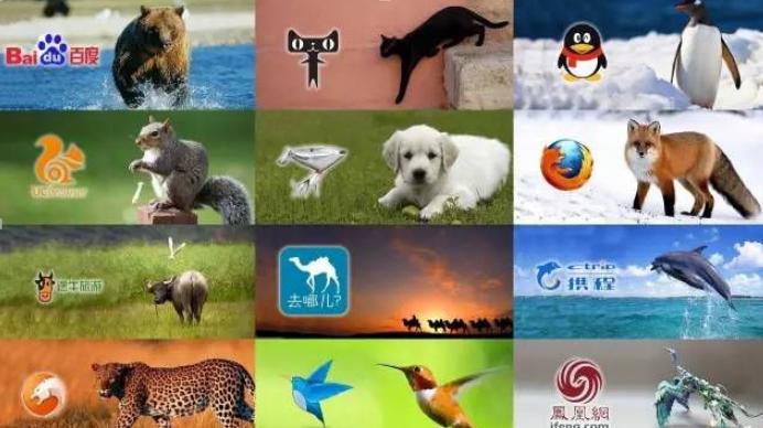 58速运和快狗打车哪个好,58速运与滴滴