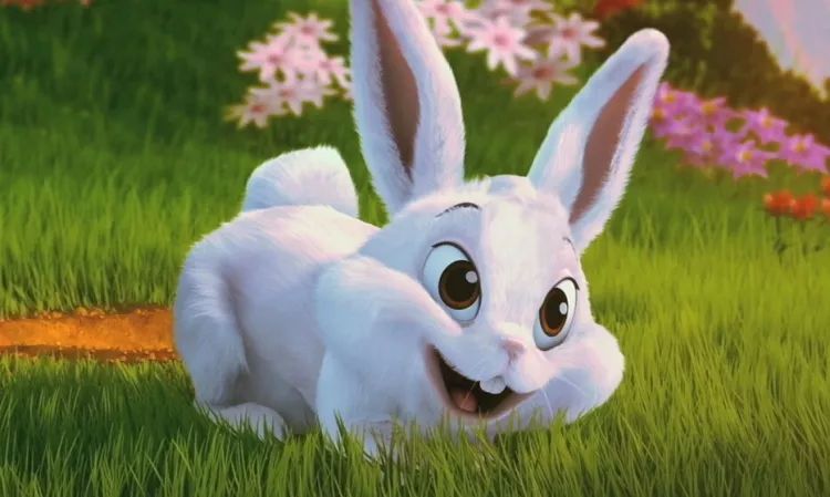 养兔的最佳养殖方法,养兔场种兔养殖注意事项