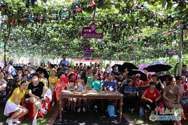 竺君灿:小小葡萄干成大产业农田变公园玩转高科技+农业