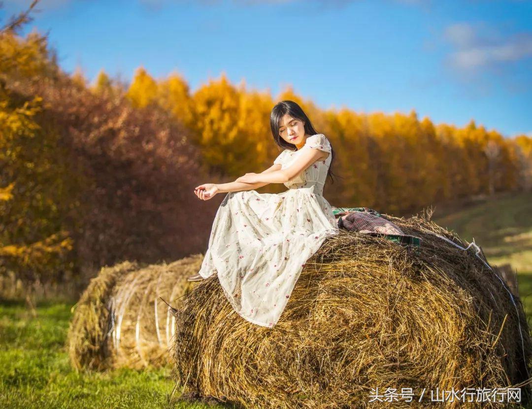 什么季节到呼伦贝尔旅游比较好,深秋的呼伦贝尔适合几月去