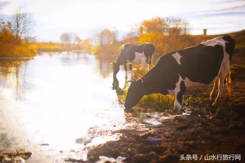 什么季节到呼伦贝尔旅游比较好,深秋的呼伦贝尔适合几月去