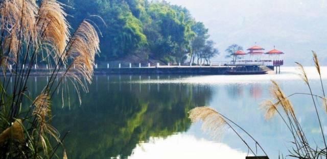 重庆免门票周边游地方推荐,重庆周边免门票公园