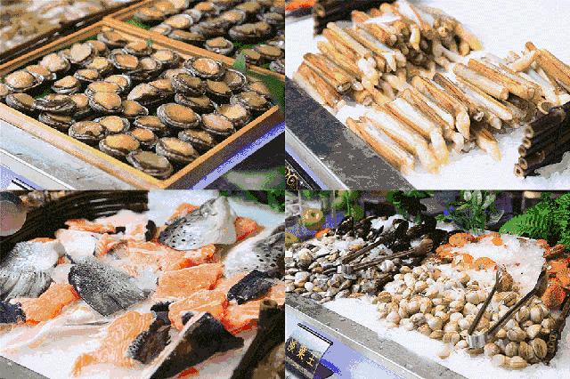 广东10大渔港 (广东各大渔港)