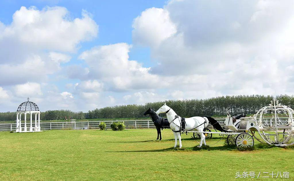陈柏霖一个人的旅行,陈柏霖花少完整版视频
