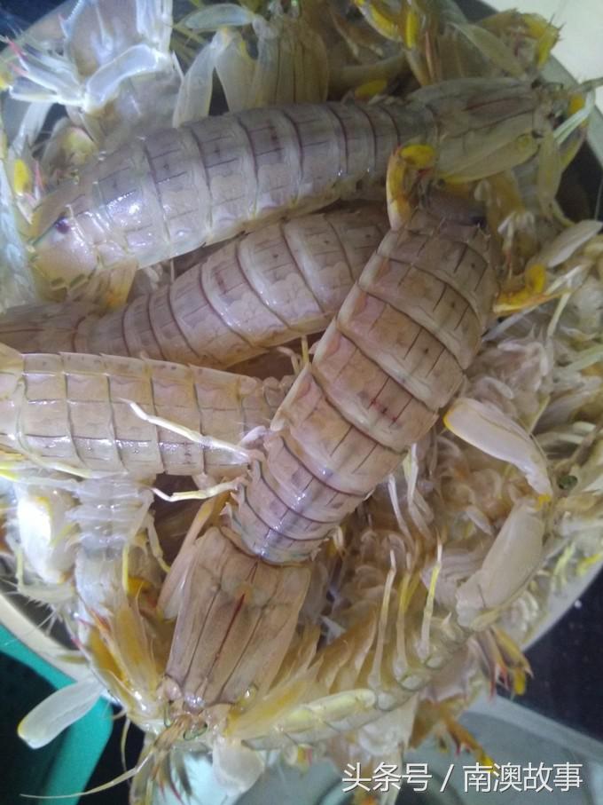 国庆去南澳岛旅游攻略,南澳岛赶海出海游玩攻略