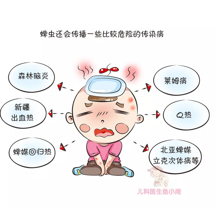 蜱虫咬在孩子头上怎么处理,宝宝如何预防蜱虫叮咬