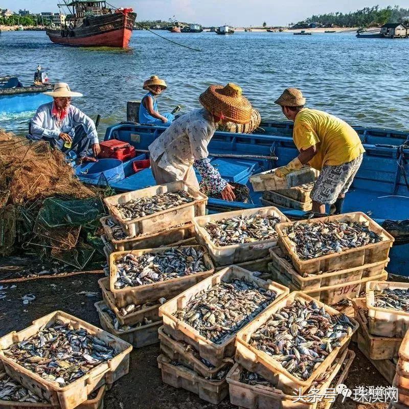 湛江各个渔港,广东渔港码头开海新情况