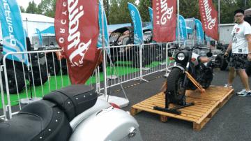 没了波多老师，CAS还有什么看头？