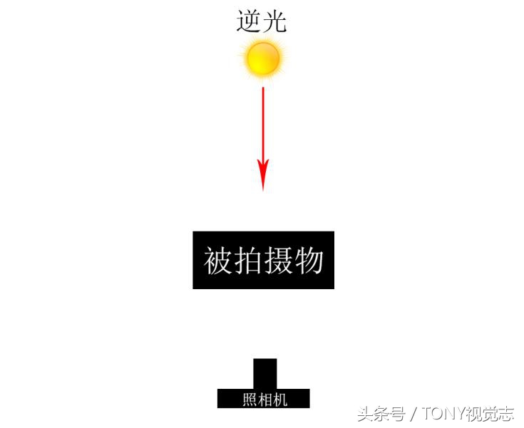 摄影光位图及其介绍,静物摄影光位图解大全