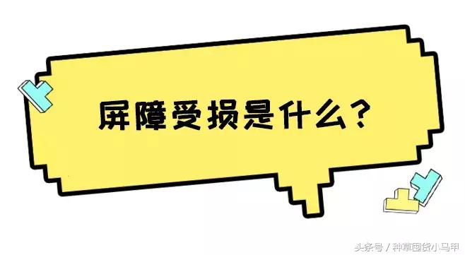 护肤姐妹花,护肤姐妹花推荐