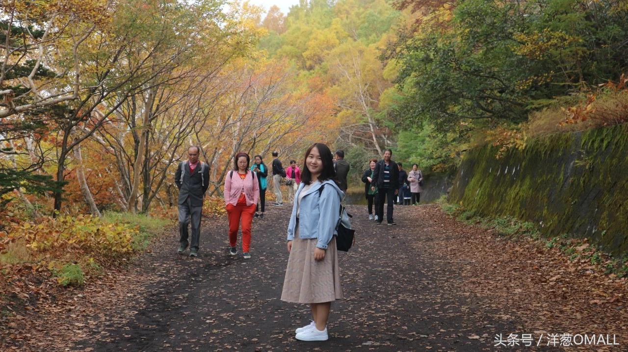 洋葱omall店主业绩,洋葱omall店主可以招店主吗