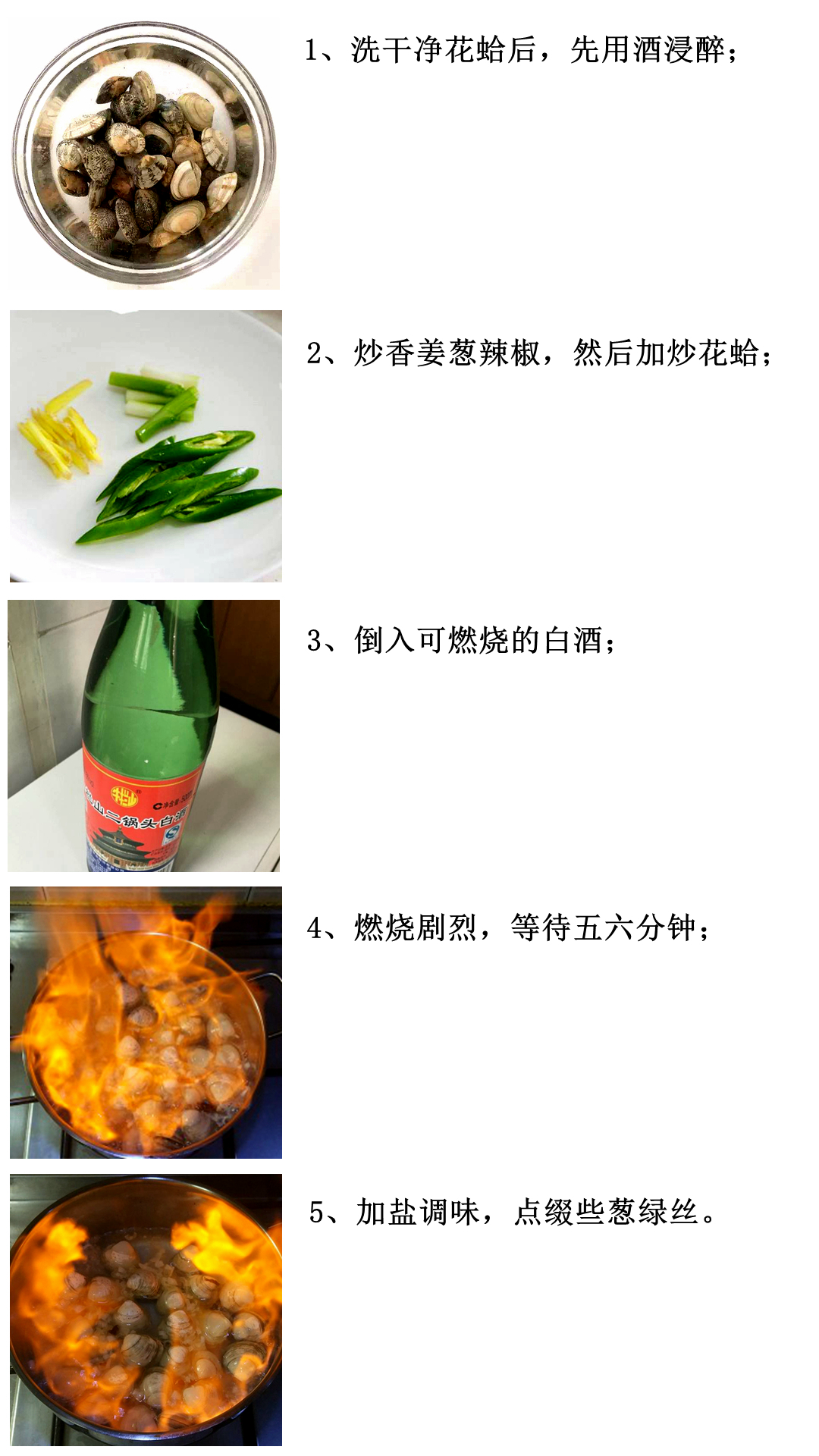 海边贝类种类,各种贝类的名称