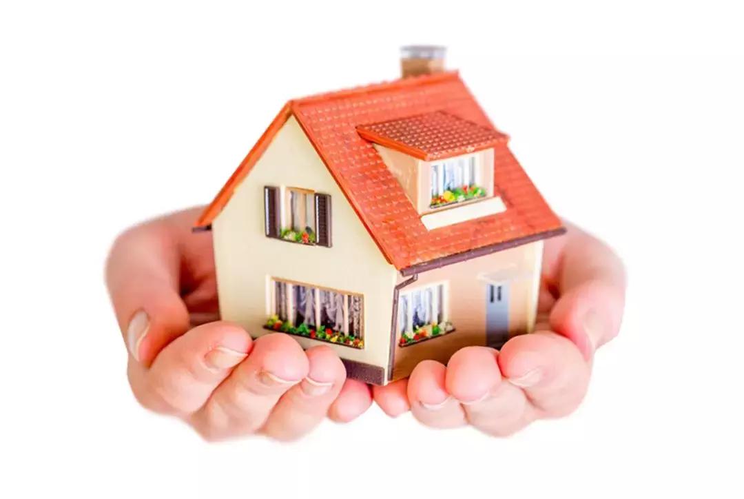 深圳将筹建师范大学吗,深圳有望筹建师范大学吗