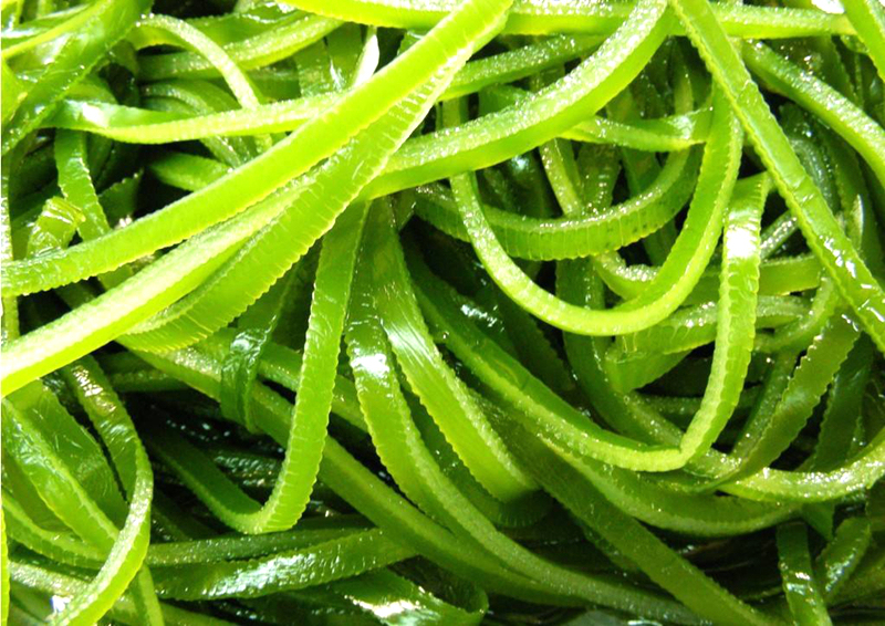 水生食物就湿气大？海里还有东西想说话：除湿利水我仨独步天下