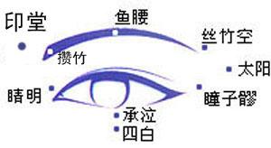 成分党博主眼霜推荐,成分安全又好用眼霜