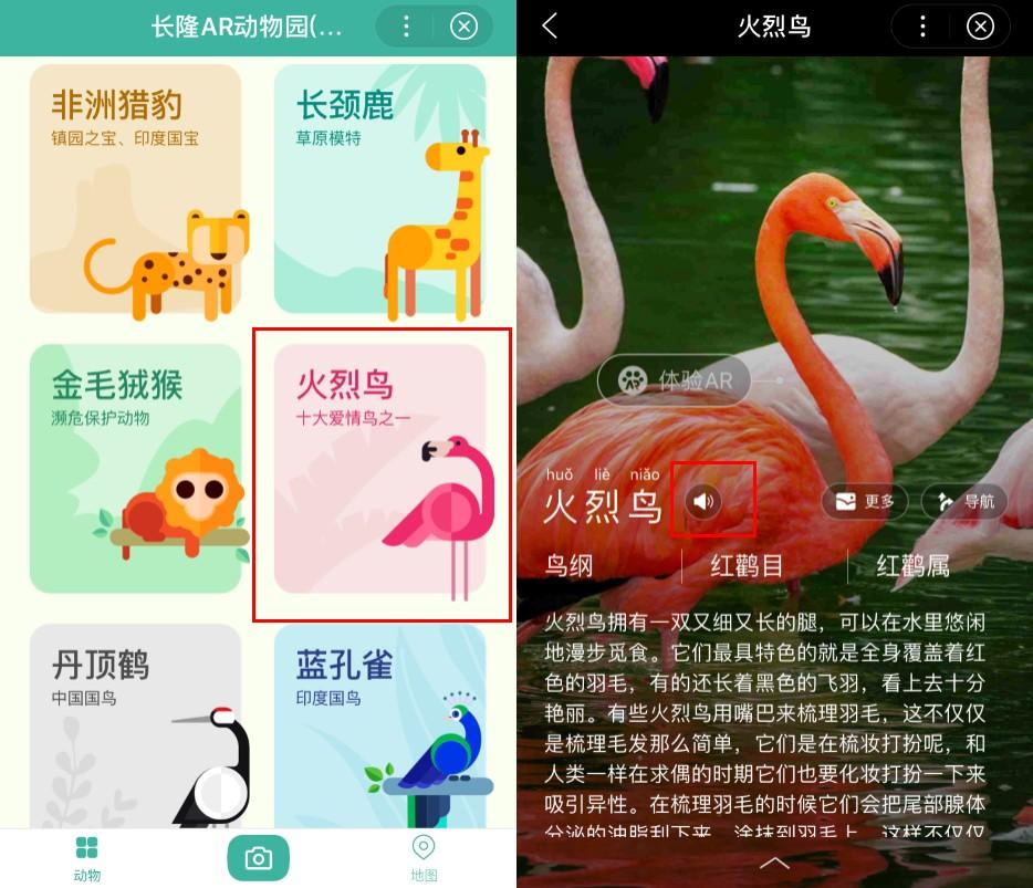 吹够了风口，是时候冷静下来看看小程序了