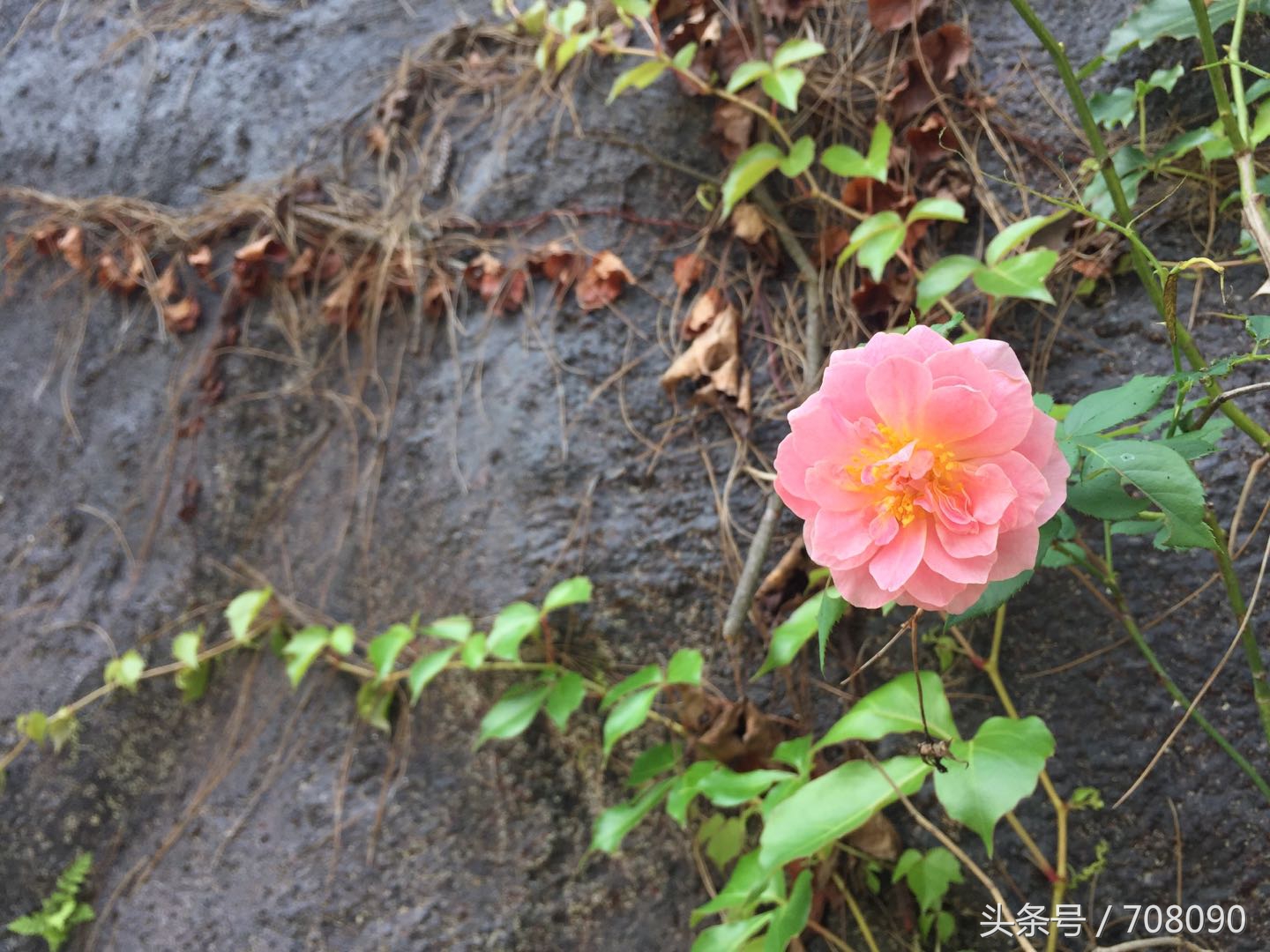 鼓山般若苑旅游攻略,鼓山般若苑网红景点