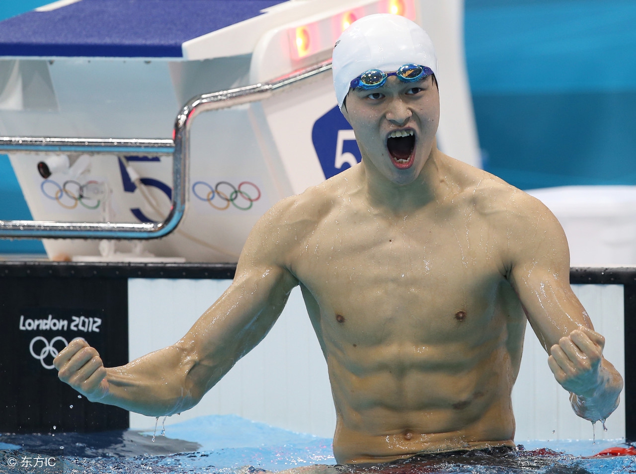 激动人心的夺冠时刻孙杨,孙杨获得过哪些荣誉