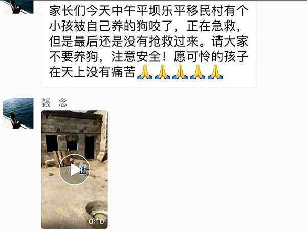 自家犬咬死小孩,下司犬突然咬死主人