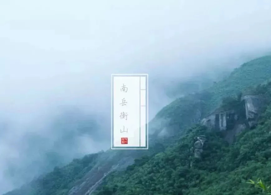 哪些洗发水中有危害成分,有哪些成分的洗发水要避雷