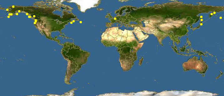 海边贝类种类,各种贝类的名称