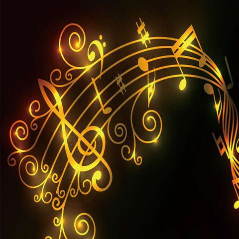 2018中国淮阳围棋棋王,2019淮阳围棋公开赛