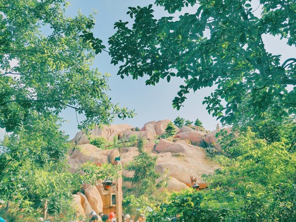 迪士尼旅游全攻略,六月上海迪士尼旅游攻略