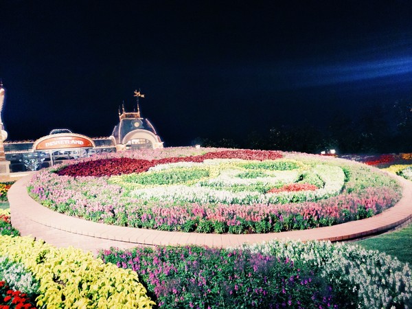 迪士尼旅游全攻略,六月上海迪士尼旅游攻略