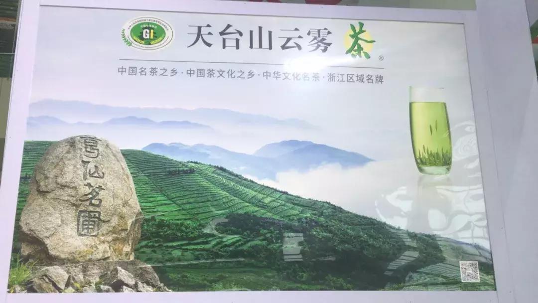 浙江绿茶,品行天下银川站,就在明日