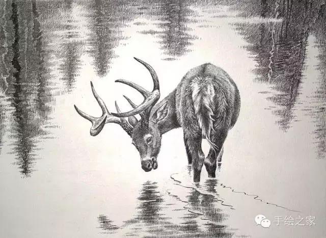 顶级超写实钢笔画,最惊艳的钢笔画大神