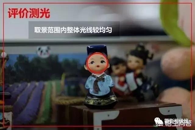 初学者单反相机入门教程,如何学习单反数码相机的简单操作