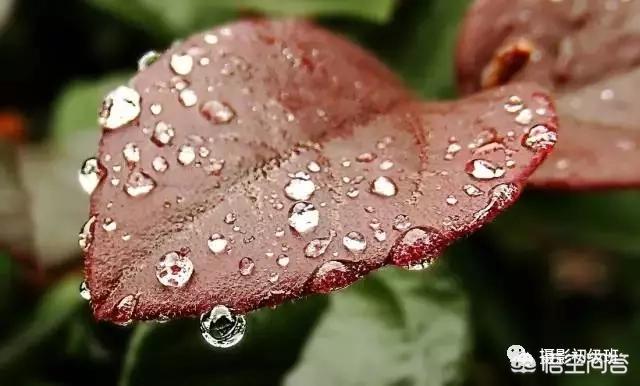 初学者单反相机入门教程,如何学习单反数码相机的简单操作