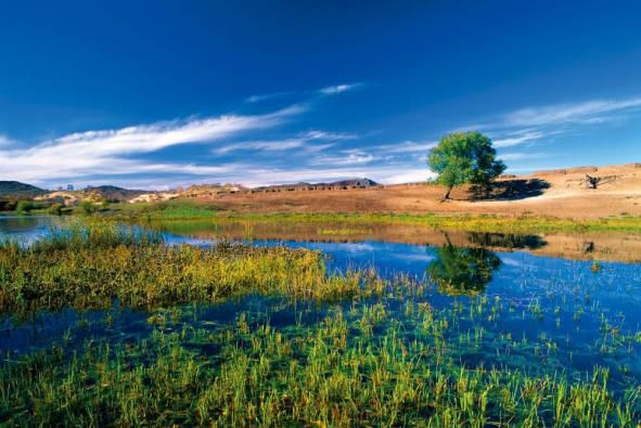 千森杯国际越野赛,千森杯越野比赛视频